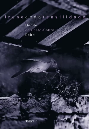 irene-ou-da-tensilidade-danilo-leite